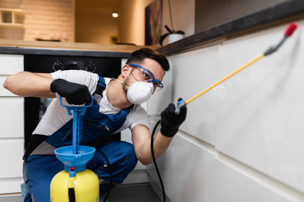 Best Affordable Pest Control Services  in Bonner Springs, KS