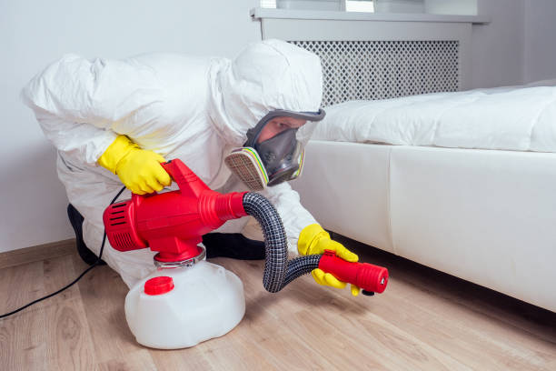 Trusted Bonner Springs, KS Pest Control Experts