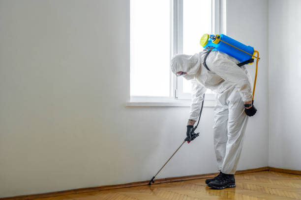 Best Affordable Pest Control Services  in Bonner Springs, KS